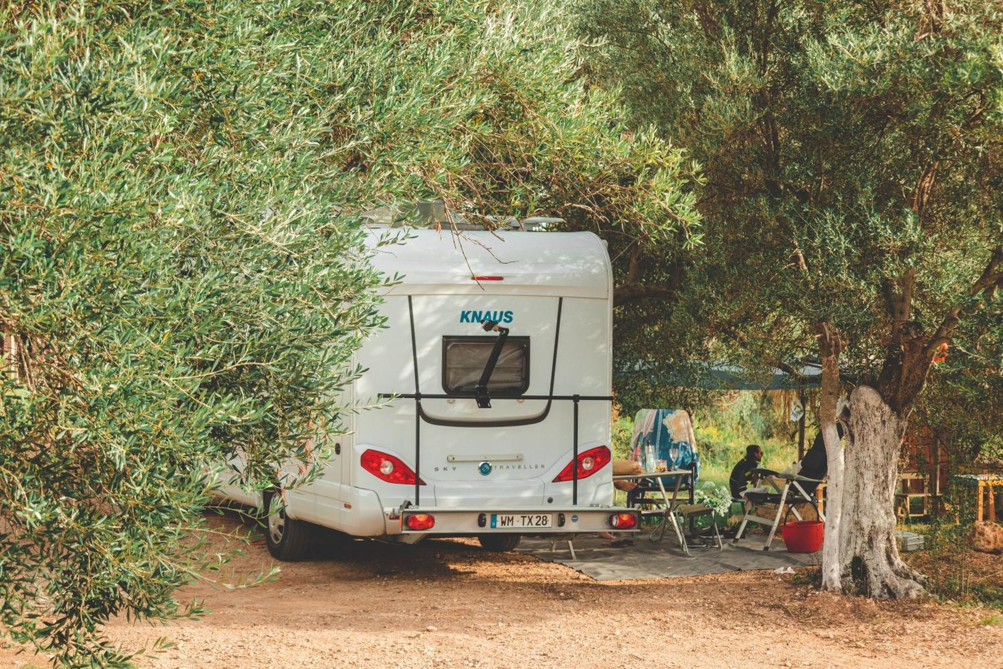 Olive Camping Himare Bagian luar foto