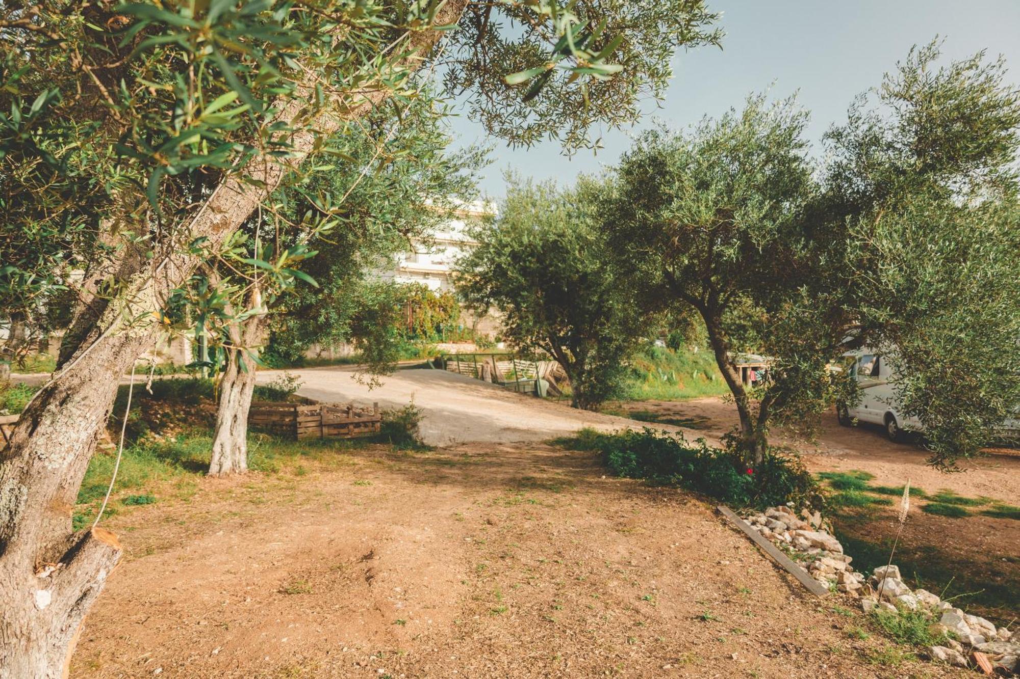 Olive Camping Himare Bagian luar foto