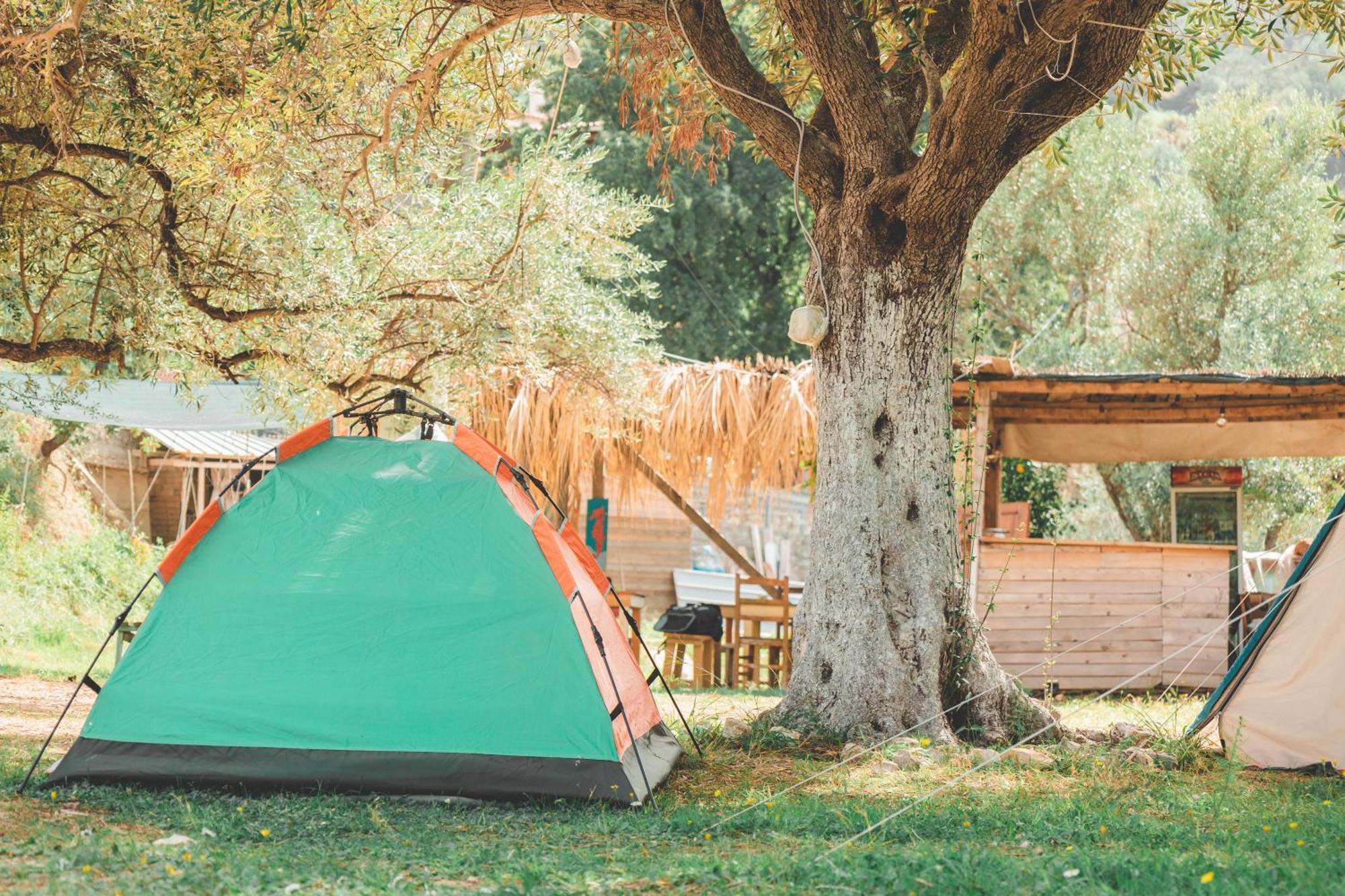 Olive Camping Himare Bagian luar foto